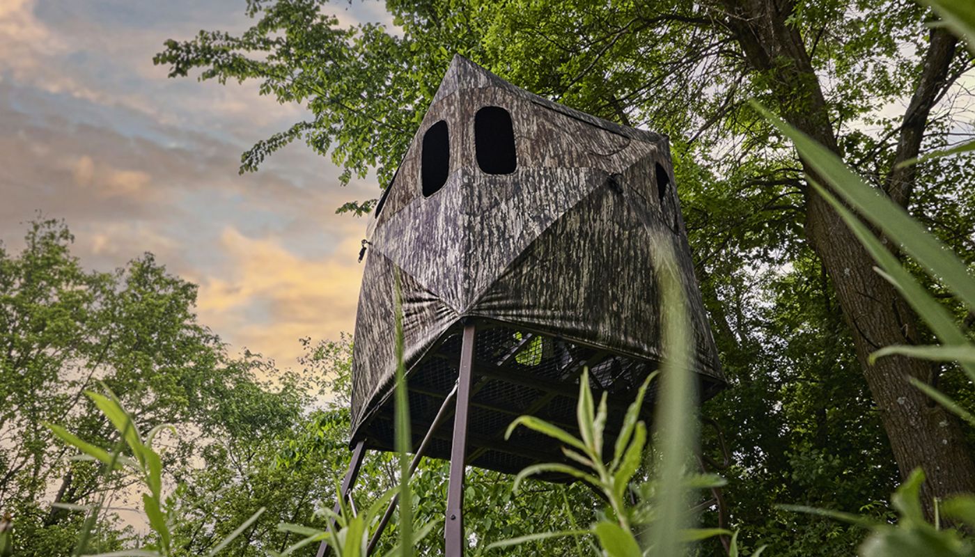tree stand